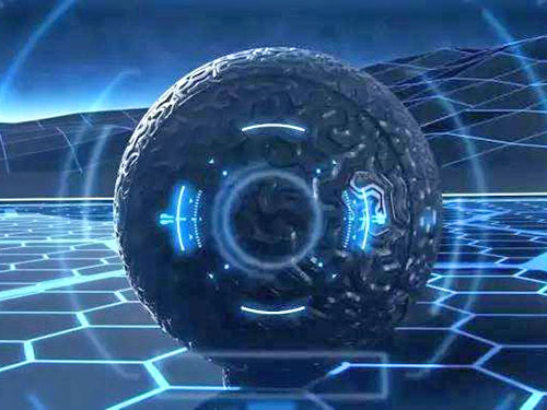 有机肥|生物有机肥|水溶肥|冲施肥|蔬菜专用肥|果树专用肥|花卉专用肥|世富肥业简介